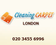 Professional upholstery cleaning in Brixton